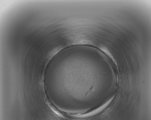 X0000064740389200602131322