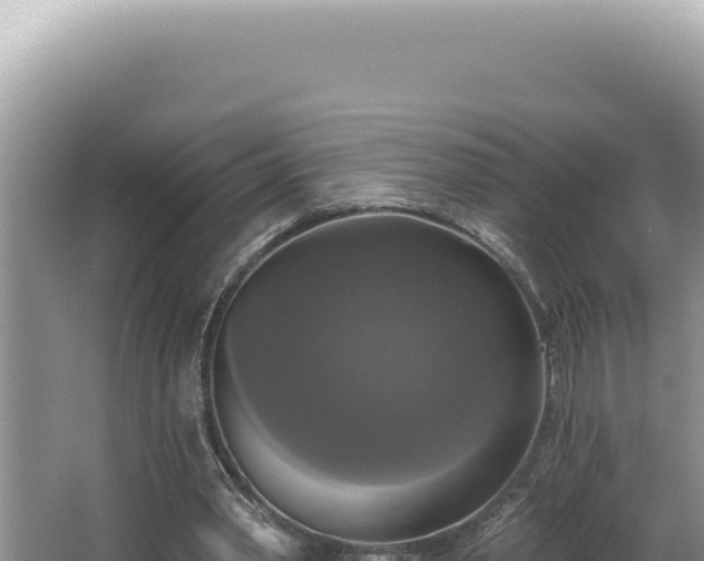 X0000064740390200602131321