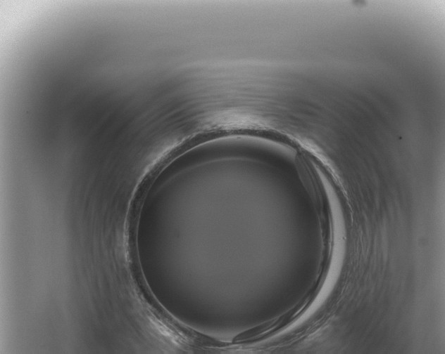 X0000064740391200602131321