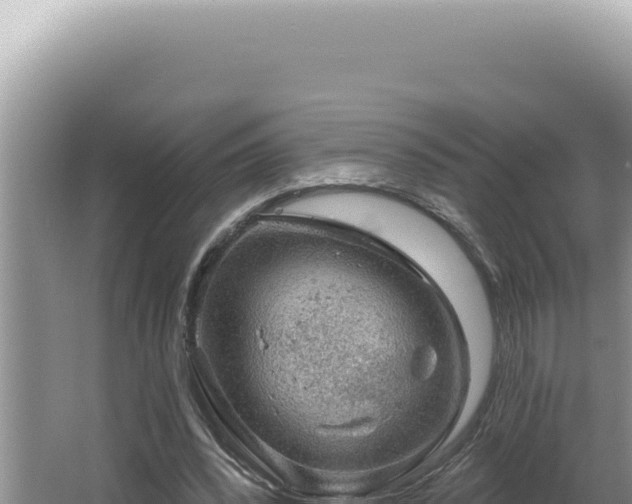 X0000064740392200602131321