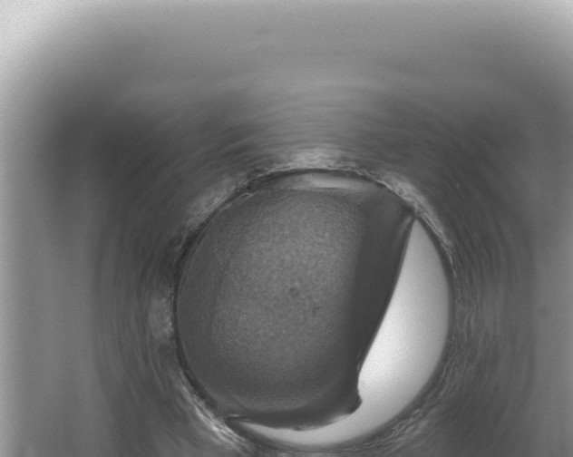 X0000064740393200602131321