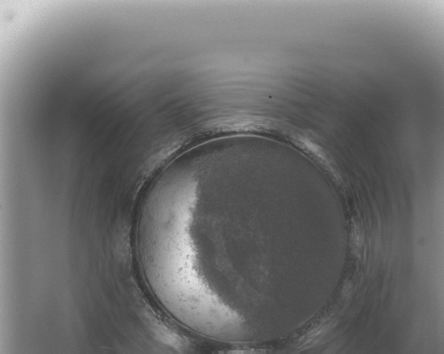 X0000064740394200602131321