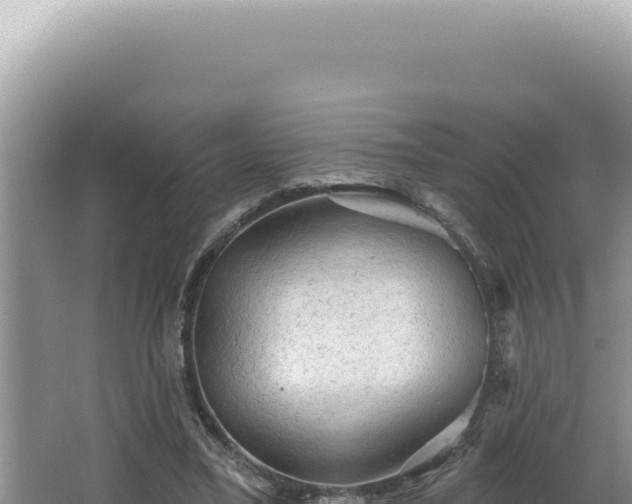 X0000064740395200602131321