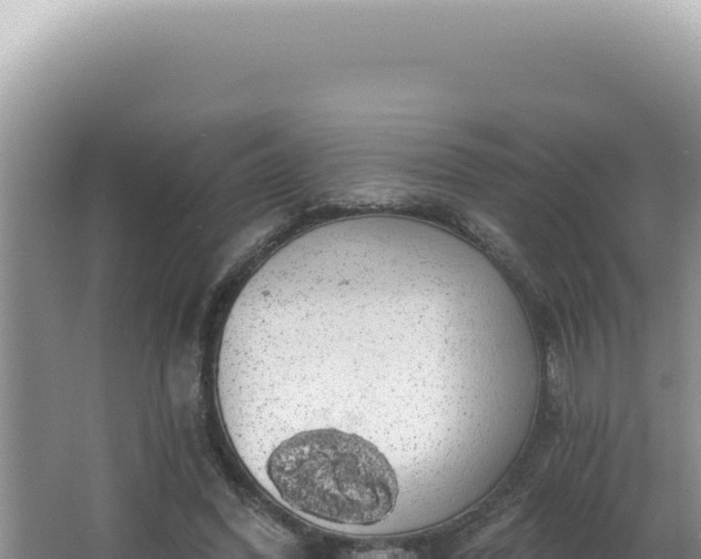 X0000064740396200602131321