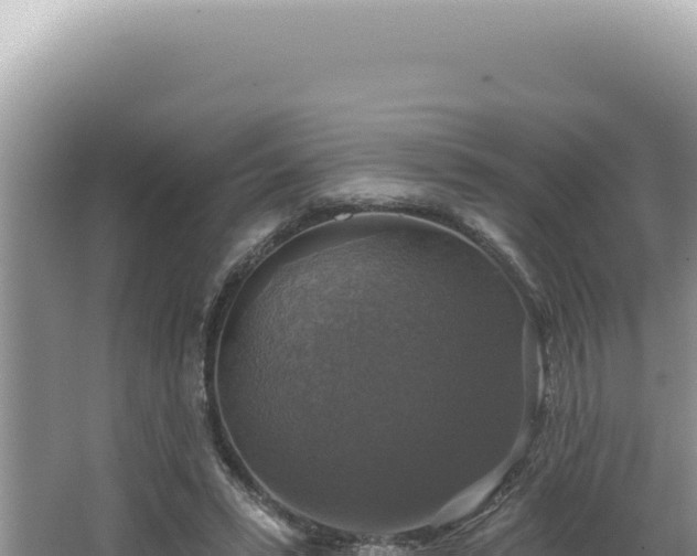 X0000064740399200602131321