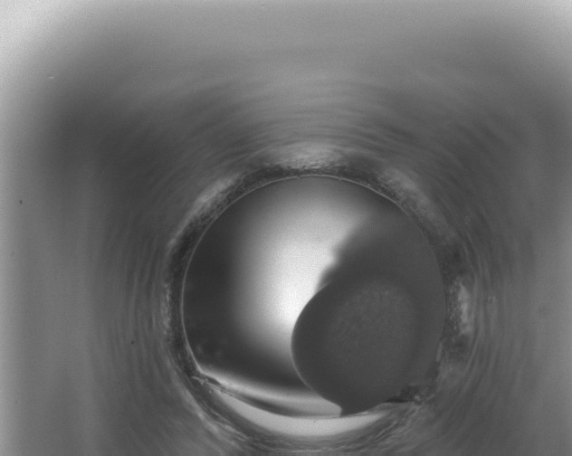 X0000064740400200602131321