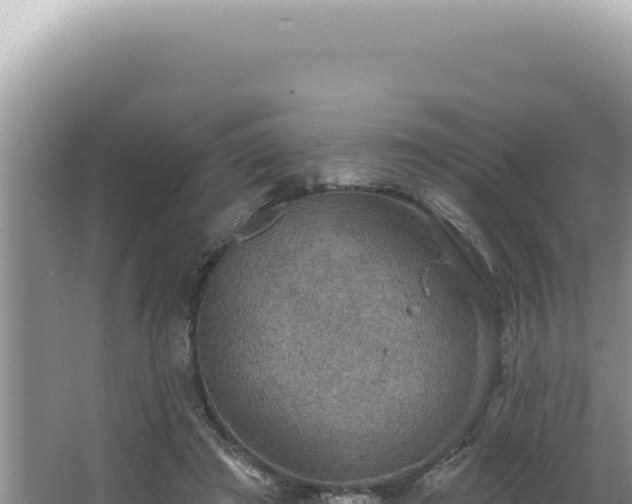 X0000064740401200602131321