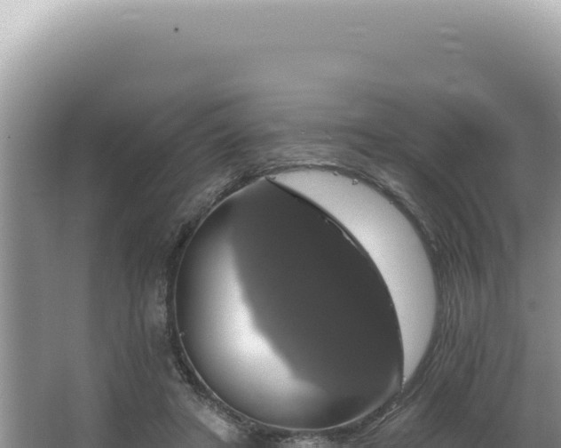 X0000064740402200602131321