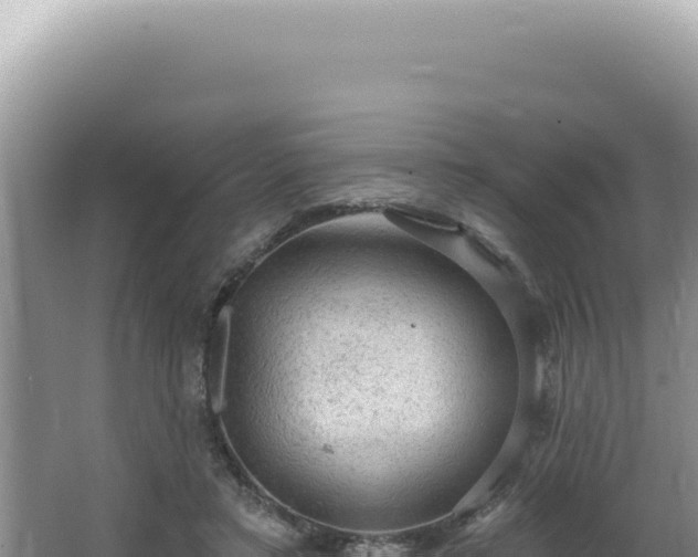 X0000064740403200602131321