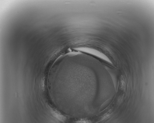 X0000064740404200602131321