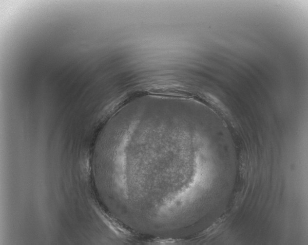 X0000064740405200602131321