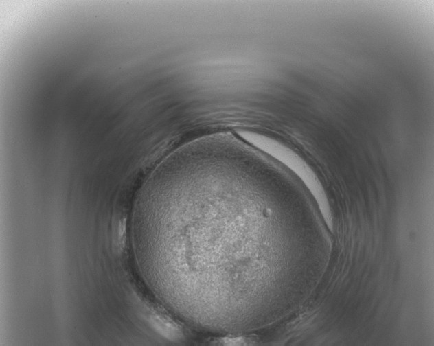 X0000064740406200602131321