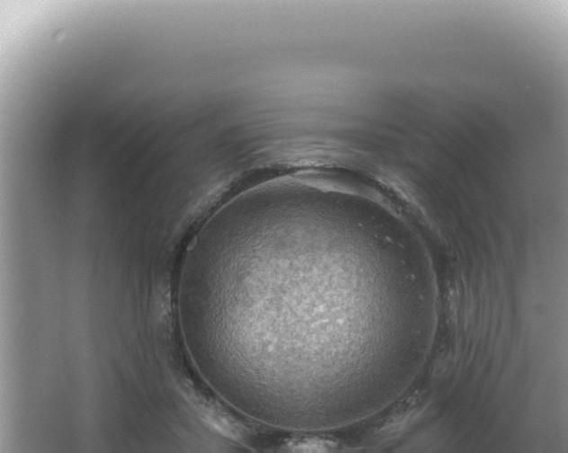 X0000064740407200602131321