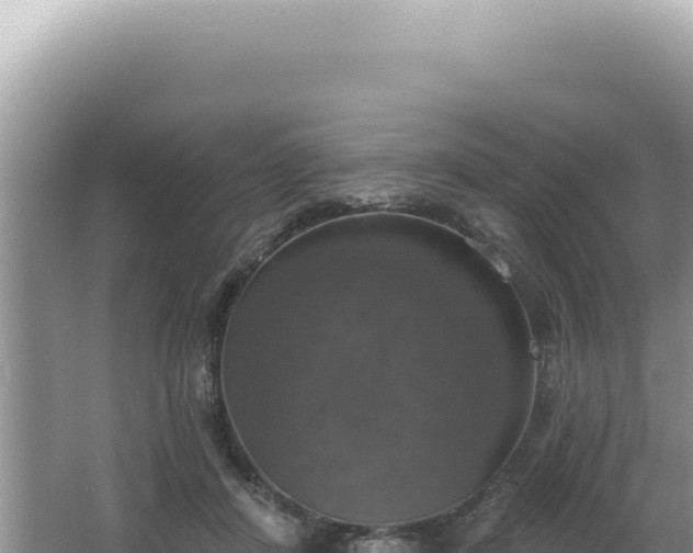 X0000064740408200602131321