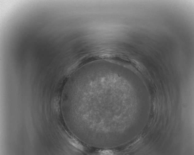 X0000064740409200602131321