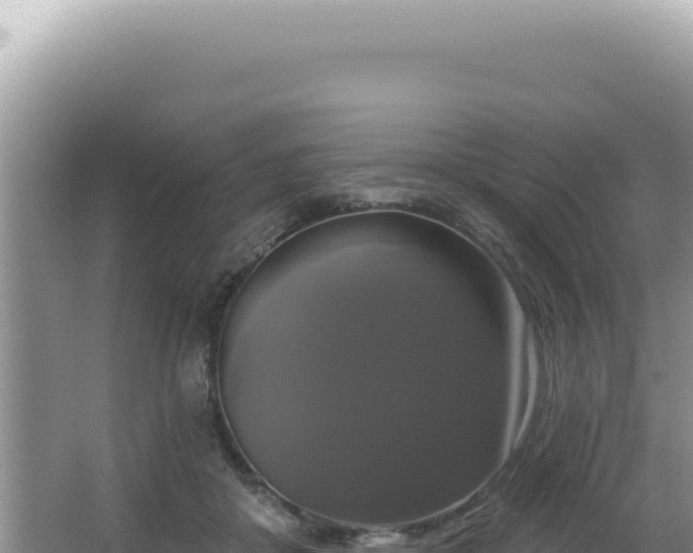 X0000064740410200602131321