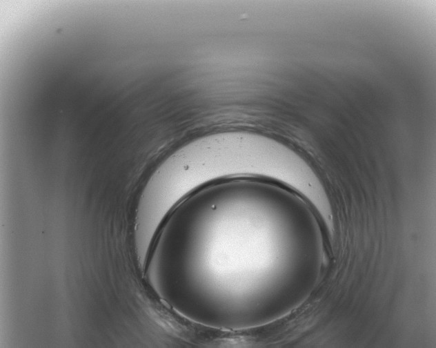 X0000064740411200602131321