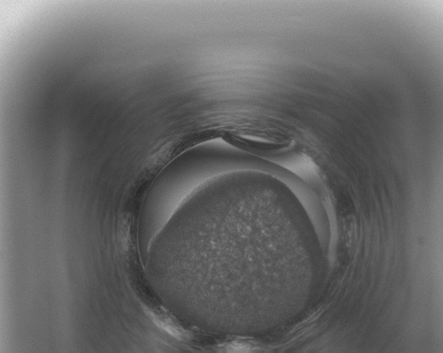 X0000064740412200602131321