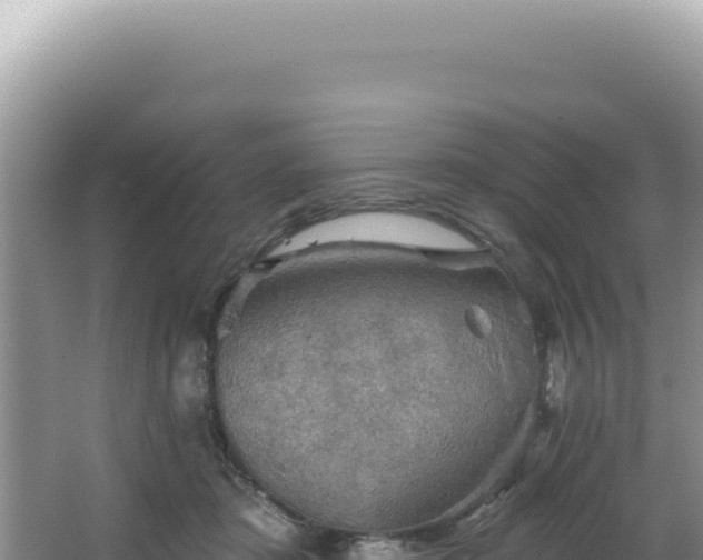 X0000064740413200602131321