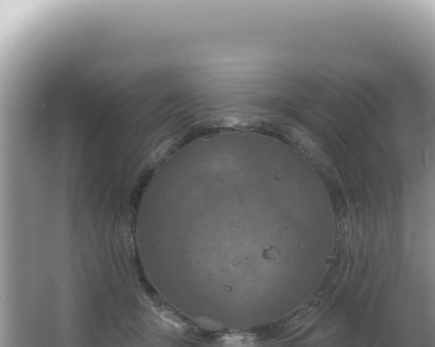 X0000064740415200602131321