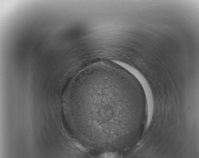 X0000064740416200602131321