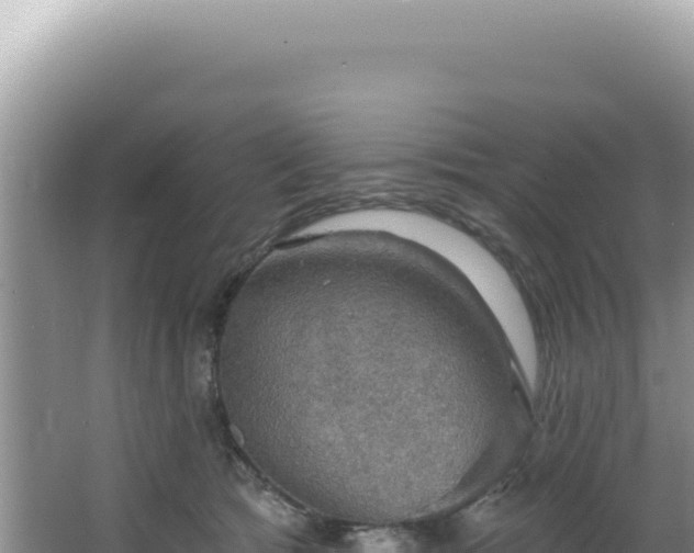 X0000064740417200602131321