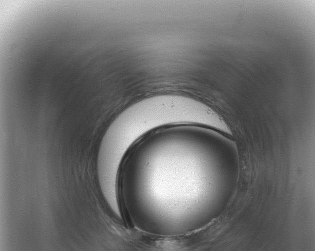 X0000064740419200602131321