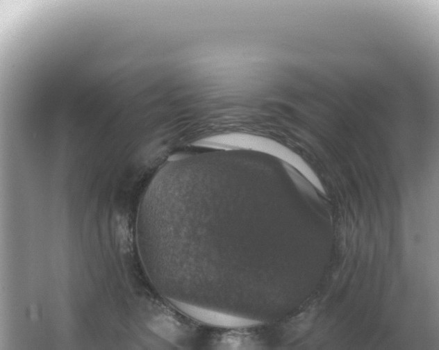 X0000064740420200602131321