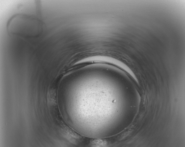 X0000064740421200602131321