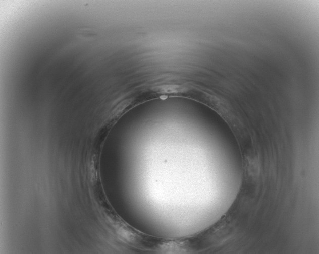 X0000064740422200602131321