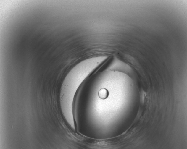 X0000064740423200602131321