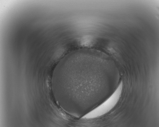 X0000064740424200602131321