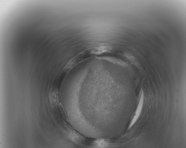 X0000064740425200602131321