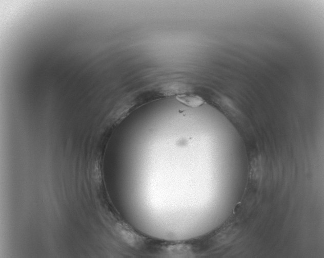 X0000064740426200602131321