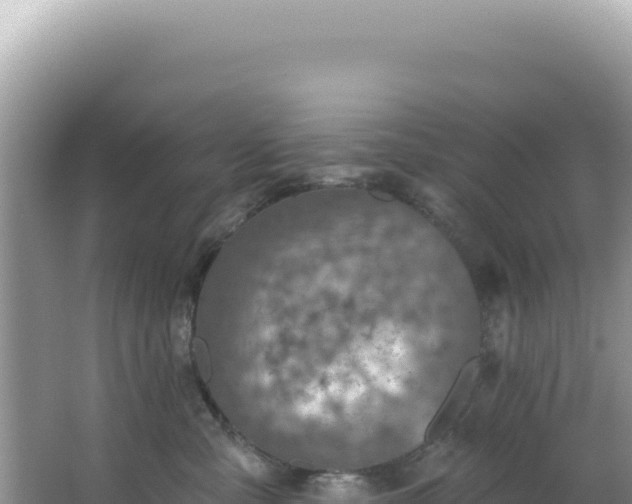 X0000064740427200602131321