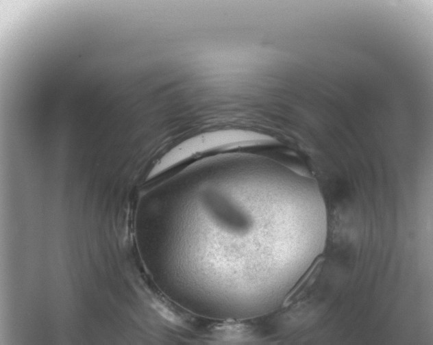 X0000064740428200602131321