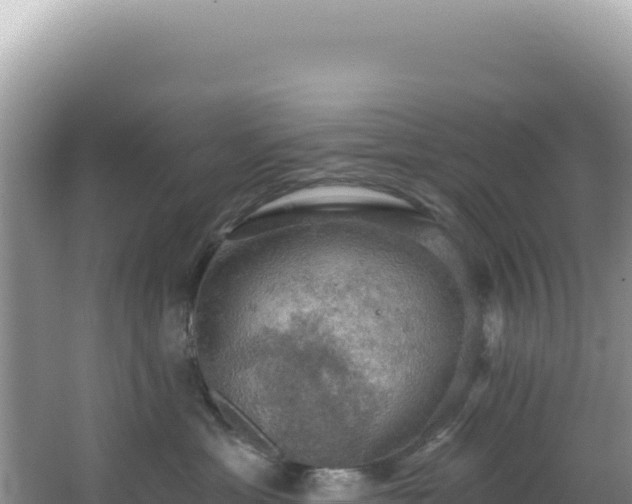 X0000064740429200602131321