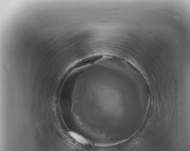 X0000064740434200602131320