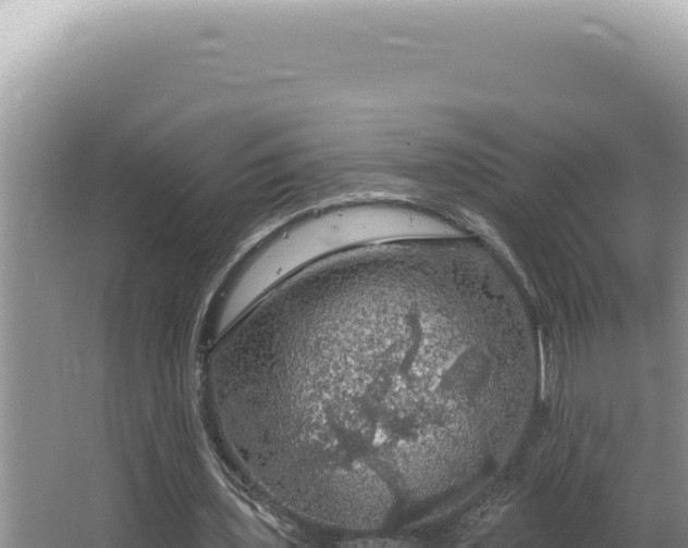 X0000064740435200602131320