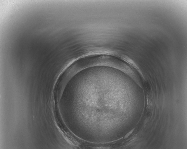 X0000064740436200602131320