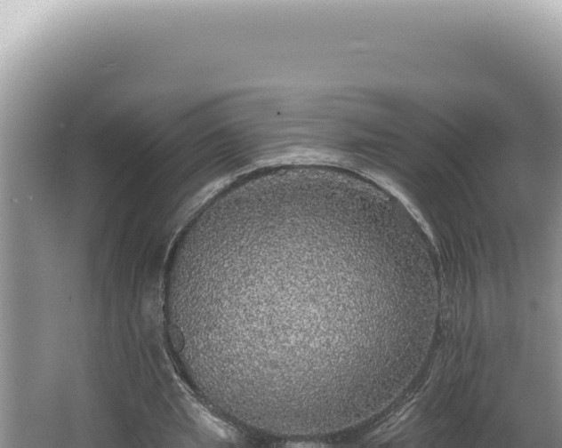 X0000064740437200602131320