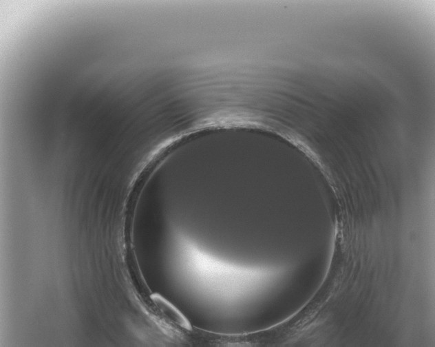 X0000064740438200602131320