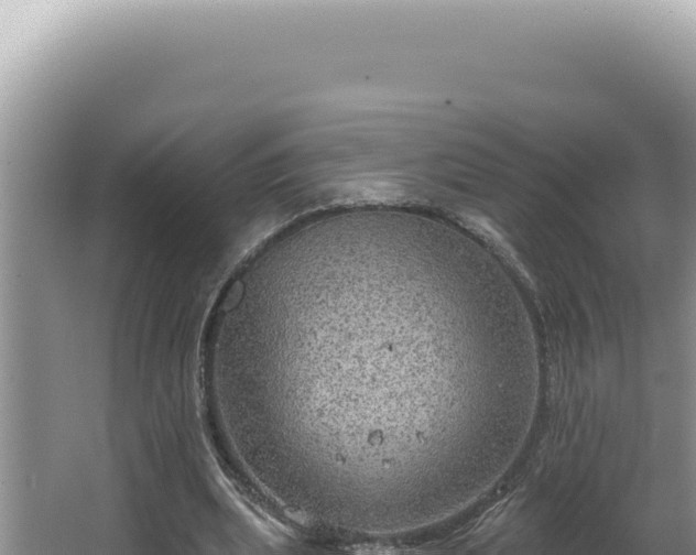 X0000064740439200602131320