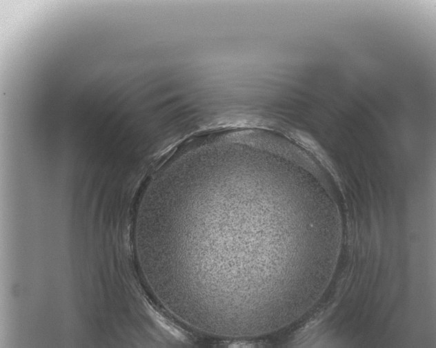 X0000064740441200602131320