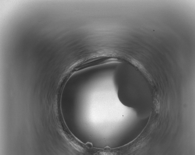 X0000064740442200602131320