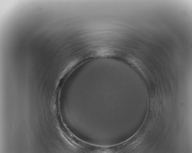 X0000064740443200602131320