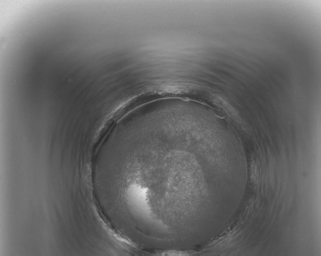 X0000064740444200602131320