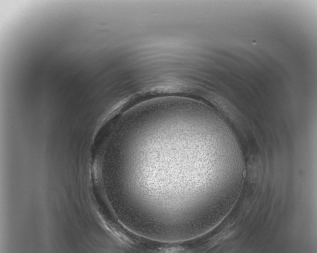 X0000064740446200602131320