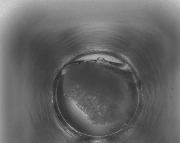 X0000064740447200602131320