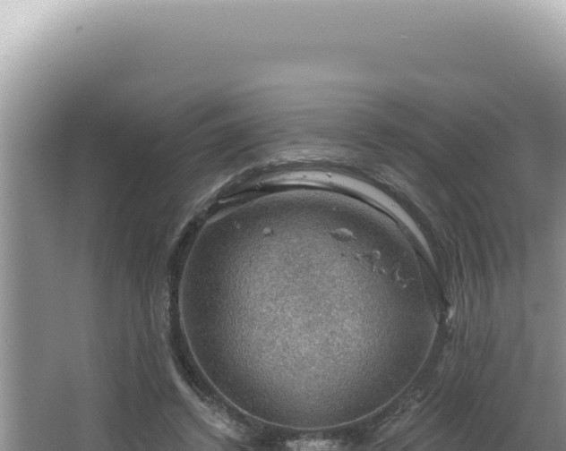 X0000064740448200602131320